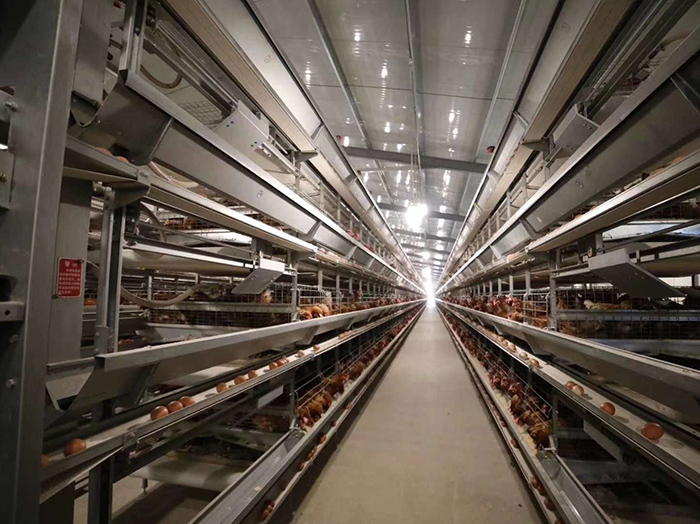 斯特拉案例4(图1)