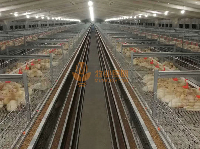 新型养殖厂专用照明灯厂家 鸡舍专用节能灯的性能特点