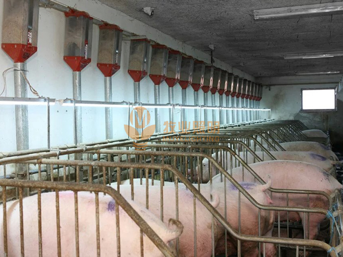 Three proofings lamp case 3(图1)