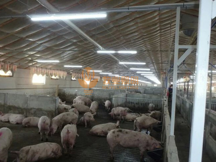 Three proofings lamp case 2(图1)