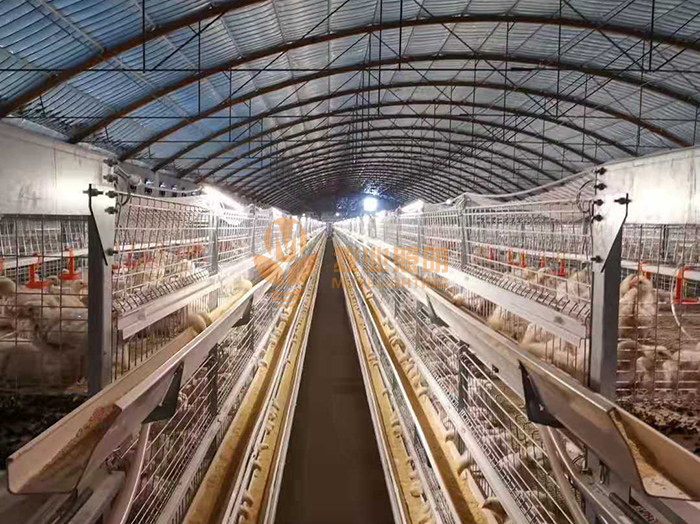 D16 tube case 2(图1)