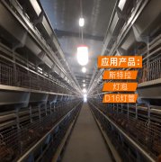 养鸡场LED灯
